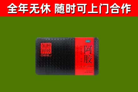 修文县回收阿胶