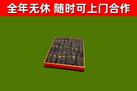 修文县回收海参